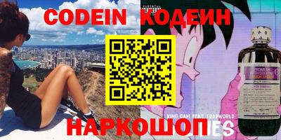 индика Обь