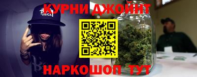 индика Обь