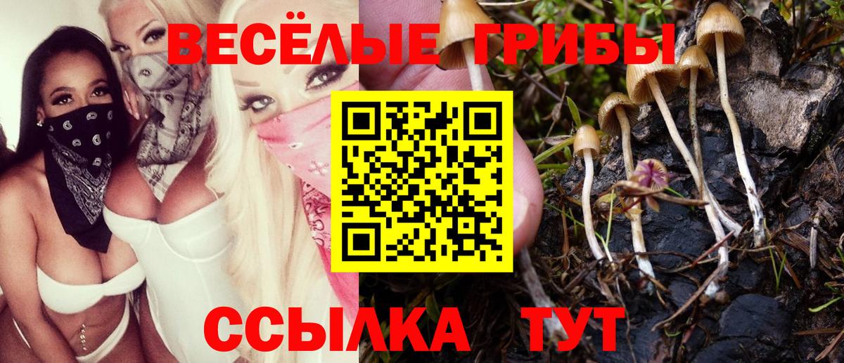 Псилоцибиновые грибы MAGIC MUSHROOMS Узловая